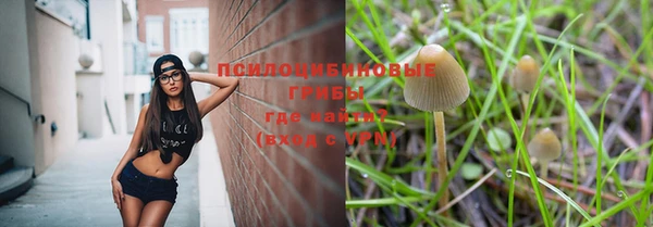 a pvp Порхов