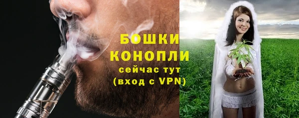 СК Дмитровск